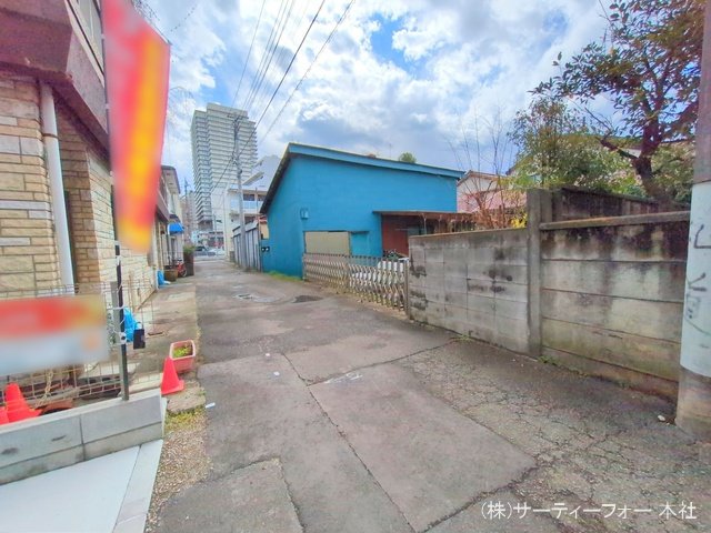 撮影日(2025-03-17 00:00:00)