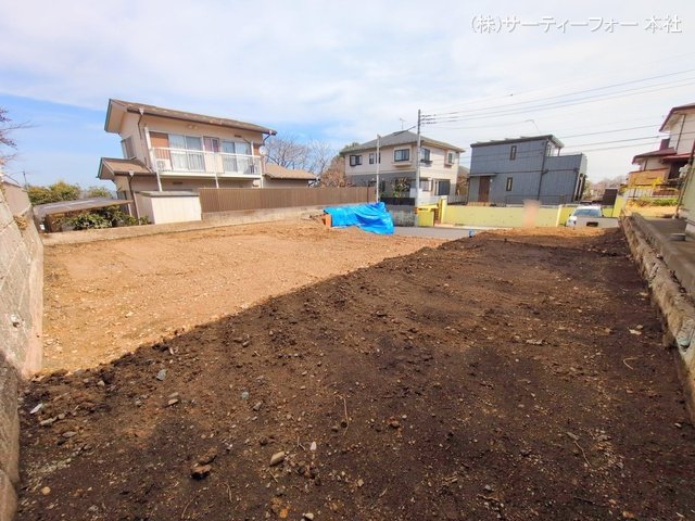 撮影日(2025-03-13 00:00:00)