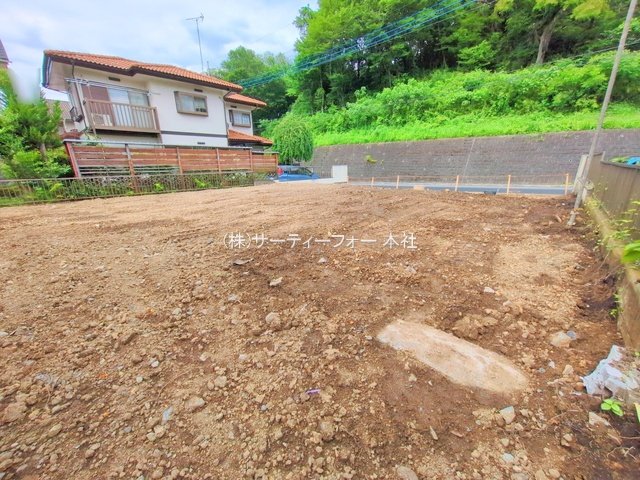 撮影日(2025-06-04 00:00:00)