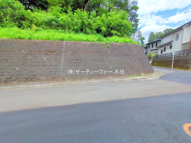 撮影日(2025-06-04 00:00:00)