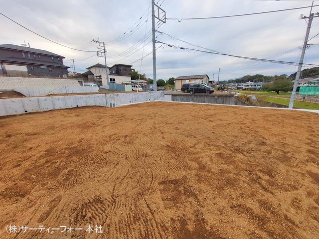 撮影日(2024-11-06 00:00:00)