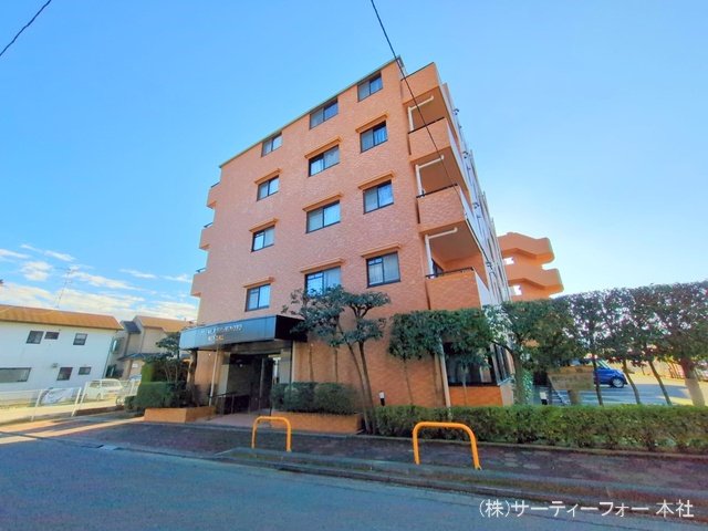 撮影日(2024-11-11 00:00:00)