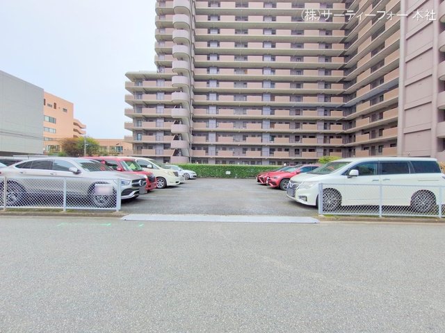 撮影日(2024-11-14 00:00:00)
