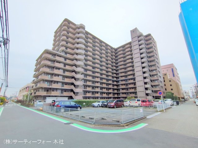 撮影日(2024-11-14 00:00:00)