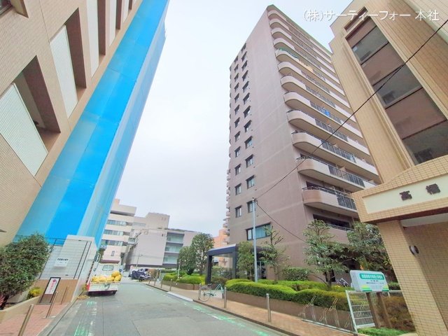 撮影日(2024-11-14 00:00:00)