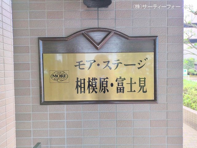 撮影日(2024-11-14 00:00:00)