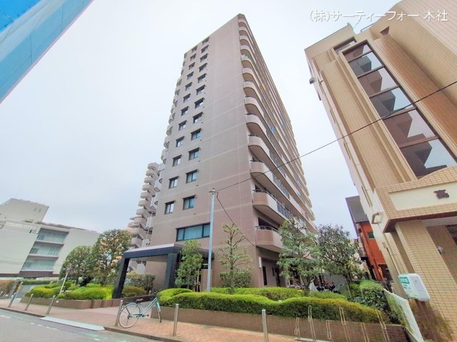 撮影日(2024-11-14 00:00:00)
