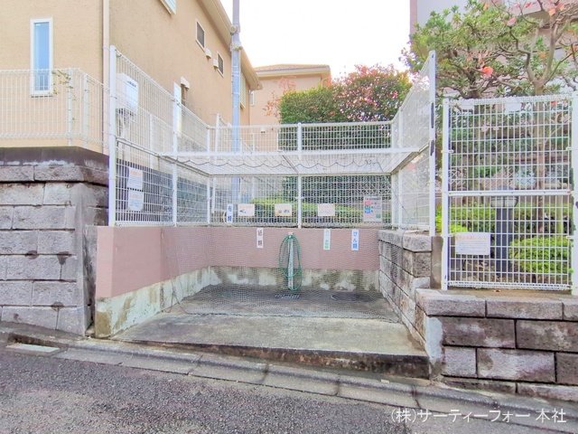 撮影日(2024-11-21 00:00:00)
