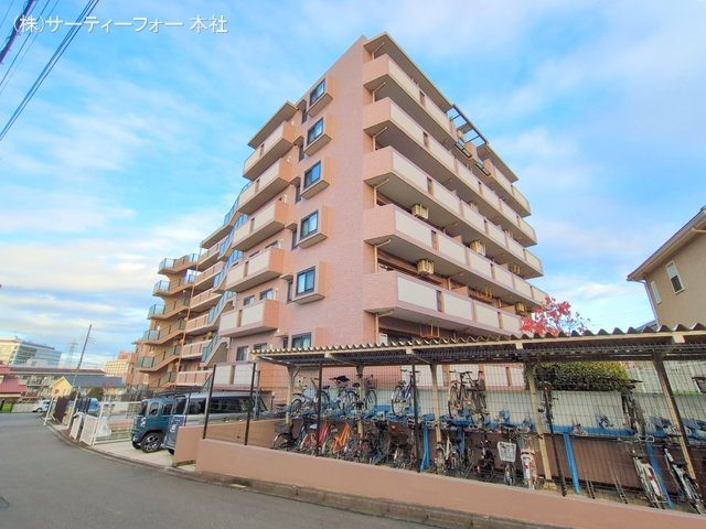 撮影日(2024-11-21 00:00:00)