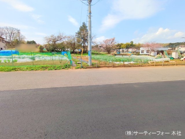撮影日(2025-04-10 00:00:00)