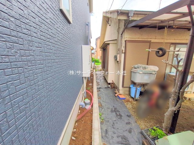 撮影日(2025-06-04 00:00:00)