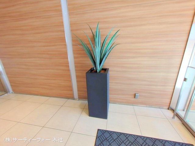 撮影日(2025-02-07 00:00:00)
