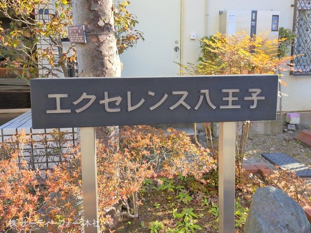 撮影日(2025-02-20 00:00:00)