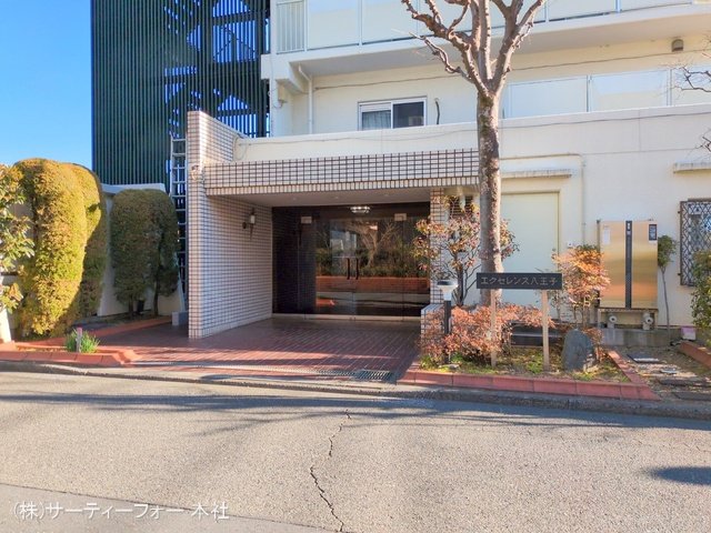 撮影日(2025-02-20 00:00:00)