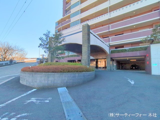 撮影日(2025-02-25 00:00:00)