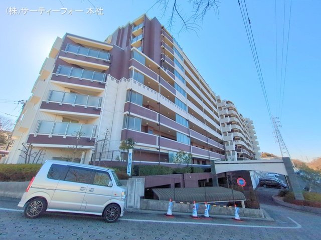 撮影日(2025-02-25 00:00:00)