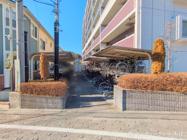 撮影日(2025-02-25 00:00:00)