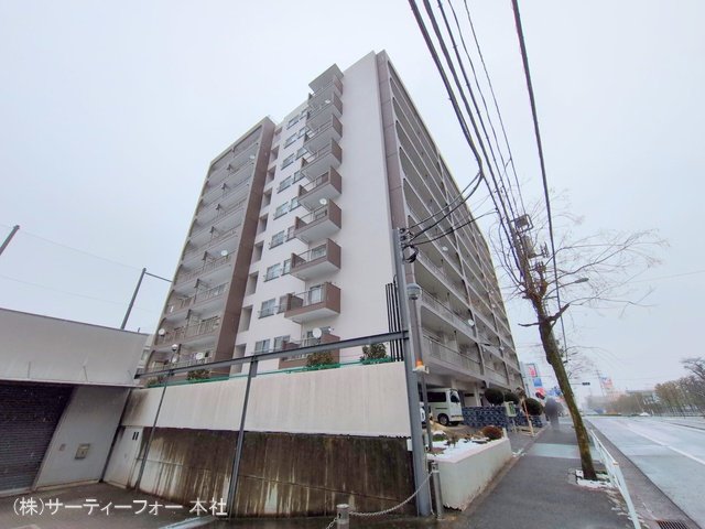 撮影日(2025-03-05 00:00:00)