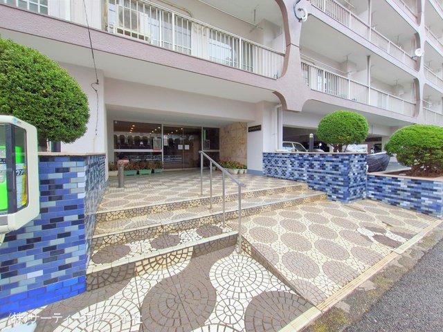撮影日(2025-03-05 00:00:00)