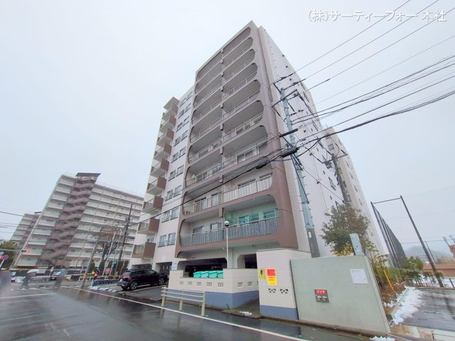 撮影日(2025-03-05 00:00:00)