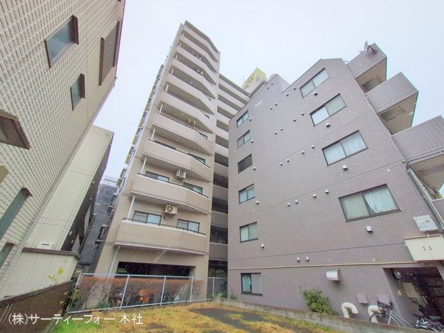 撮影日(2025-03-04 00:00:00)
