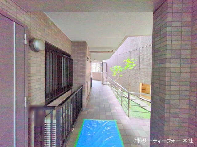 撮影日(2025-03-04 00:00:00)