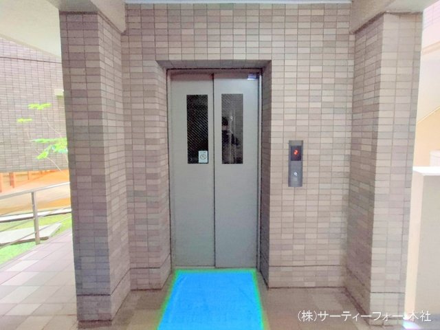 撮影日(2025-03-04 00:00:00)