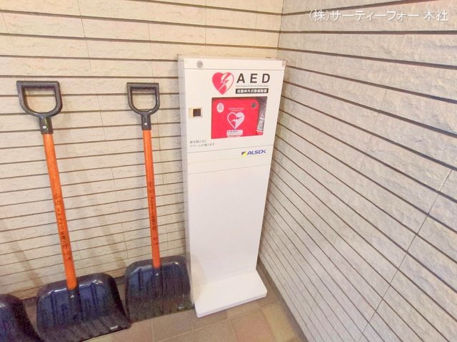 撮影日(2025-03-04 00:00:00)