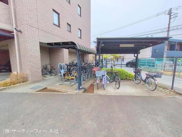 撮影日(2025-03-04 00:00:00)