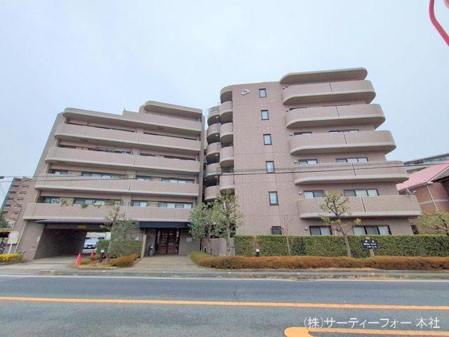 撮影日(2025-03-04 00:00:00)