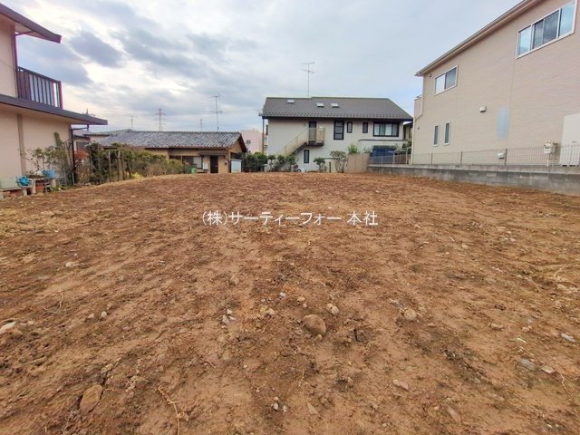 撮影日(2025-03-11 00:00:00)