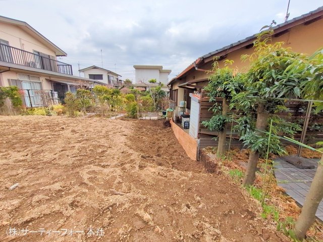 撮影日(2025-03-11 00:00:00)