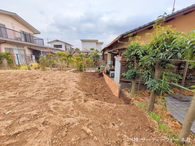 撮影日(2025-03-11 00:00:00)