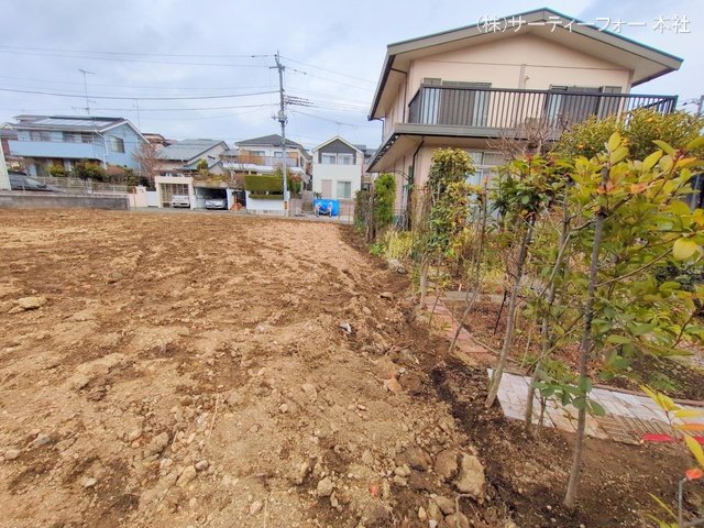 撮影日(2025-03-11 00:00:00)