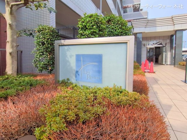 撮影日(2025-03-14 00:00:00)