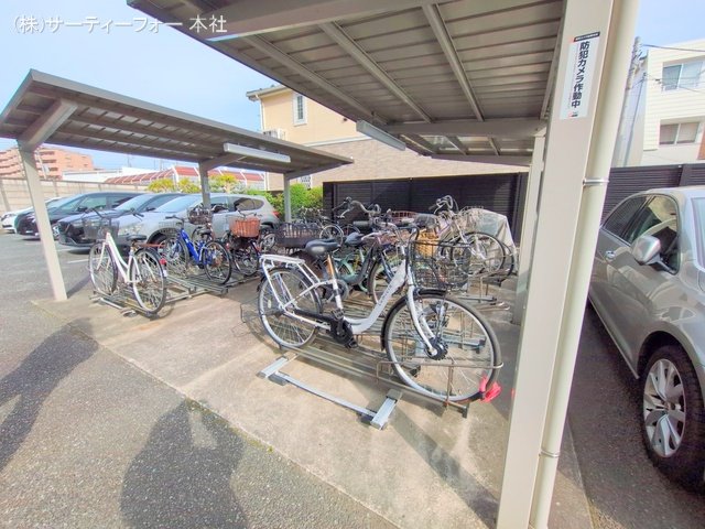 撮影日(2025-03-14 00:00:00)