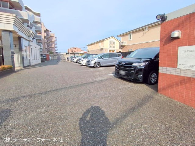 撮影日(2025-03-14 00:00:00)