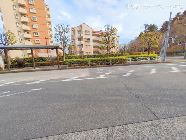 撮影日(2025-03-28 00:00:00)