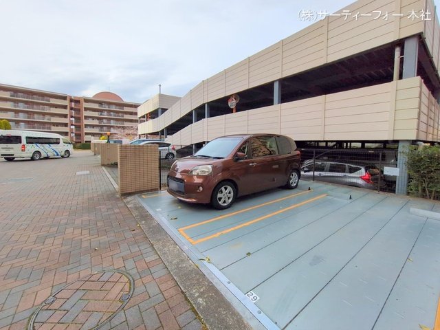 撮影日(2025-03-28 00:00:00)