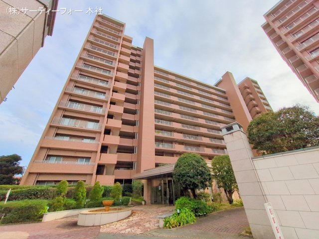 撮影日(2025-03-28 00:00:00)