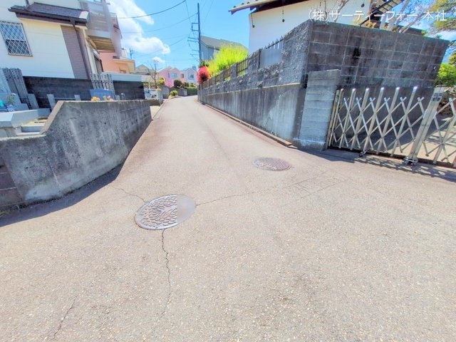 撮影日(2025-04-15 00:00:00)