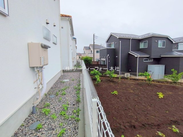 撮影日(2025-06-11 00:00:00)