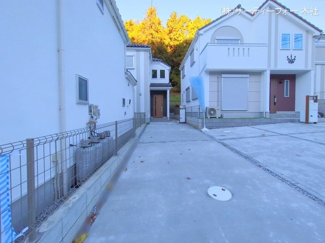 撮影日(2024-11-29)