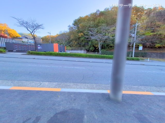 撮影日(2024-11-29 00:00:00)