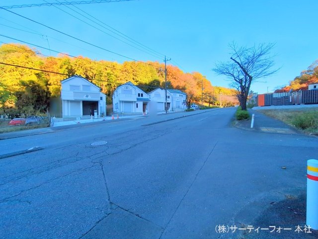 撮影日(2024-11-29)