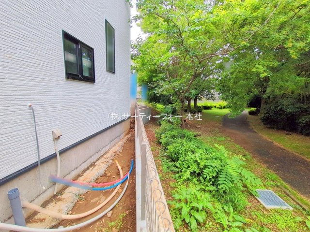 撮影日(2025-06-12 00:00:00)