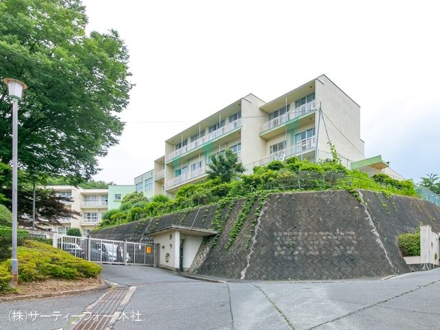 八王子市立小宮小学校 撮影日(2022-06-22) 800m