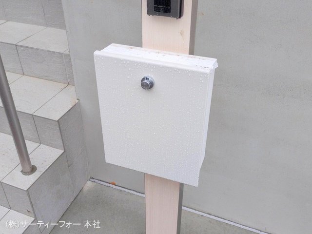 撮影日(2025-03-03 00:00:00)