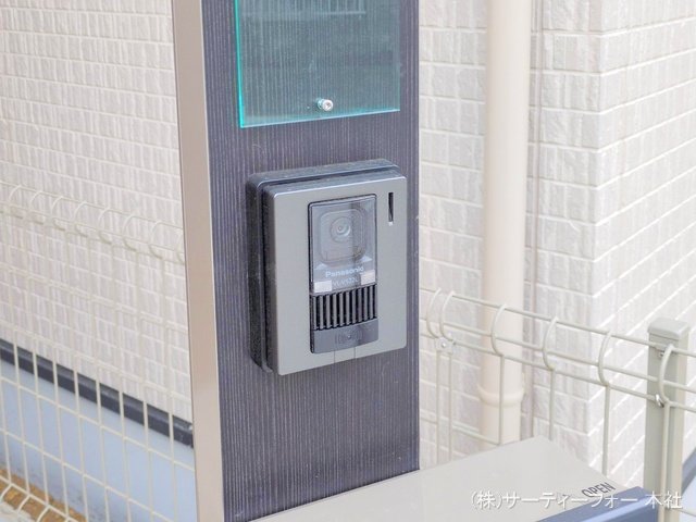 撮影日(2025-02-17 00:00:00)