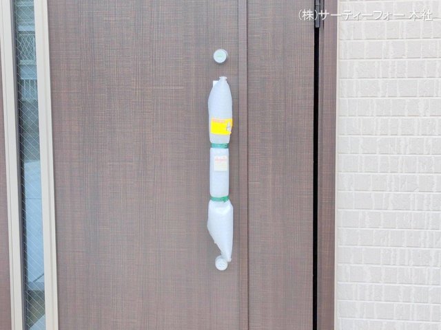 撮影日(2025-02-17 00:00:00)